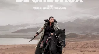 Affiche du film : Les Voleurs de chevaux