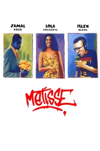 Affiche du film : Métisse