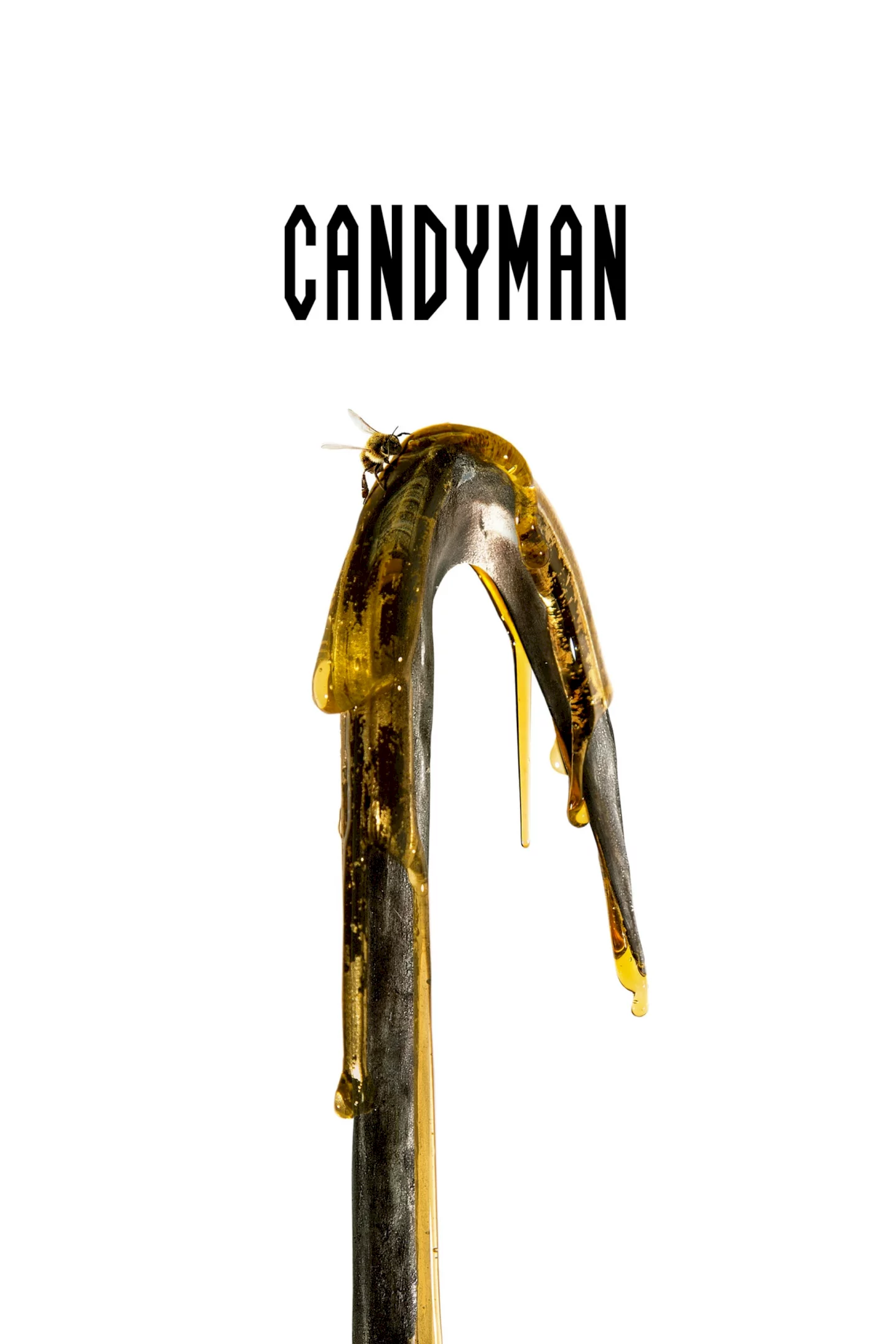 Photo 6 du film : Candyman
