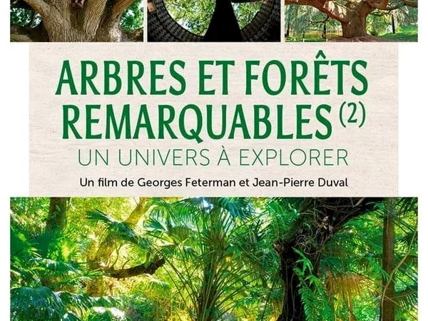 Photo du film : Arbres et forêts Remarquables, un univers à explorer