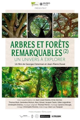 Affiche du film Arbres et forêts Remarquables, un univers à explorer