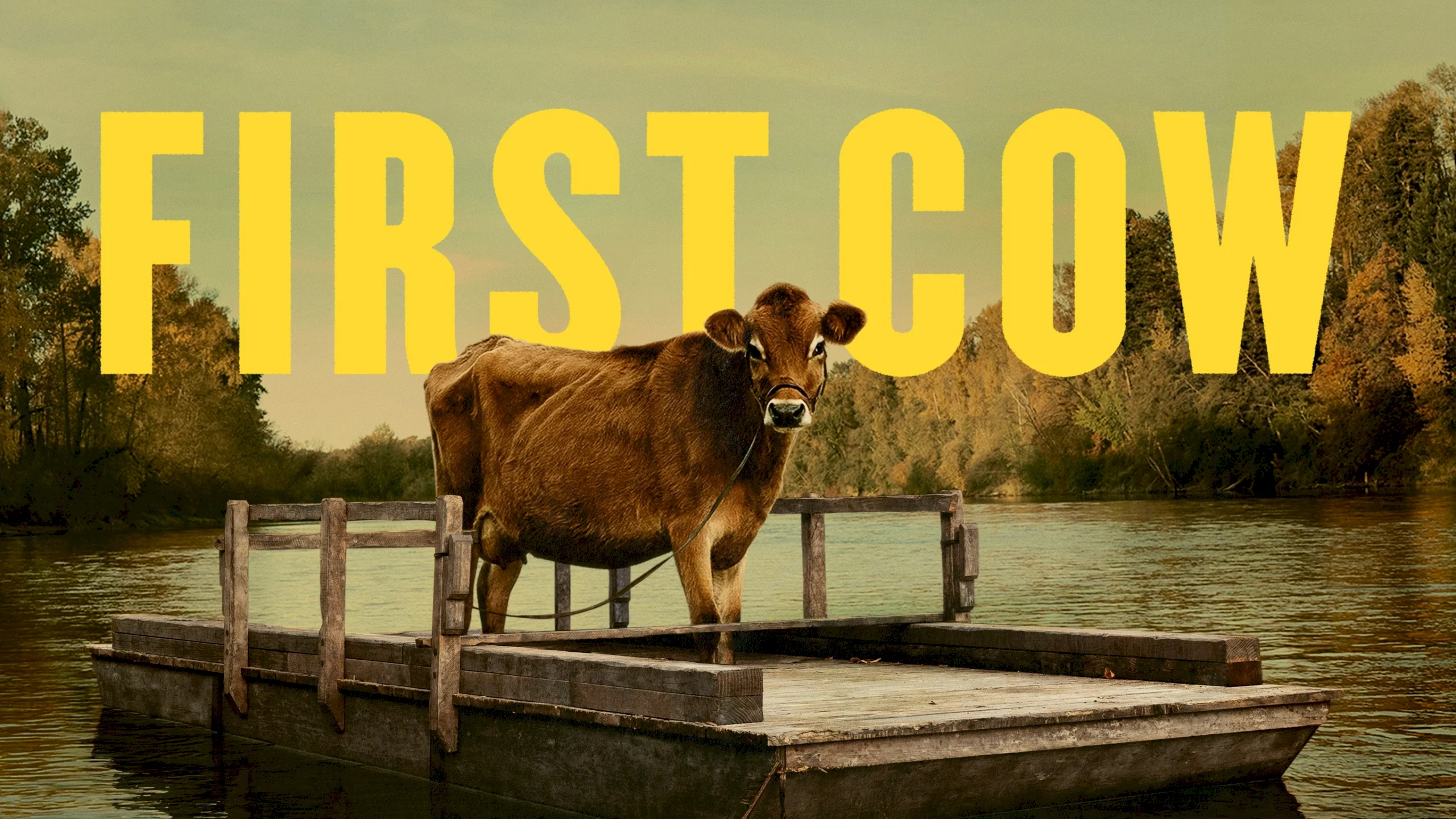 Photo 1 du film : First Cow