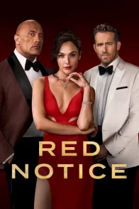 Affiche du film : Red Notice