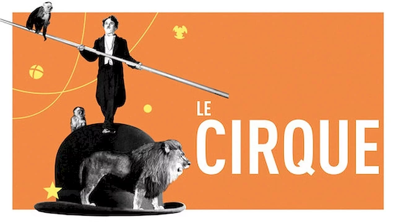 Photo 1 du film : Le Cirque