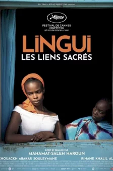 Affiche du film : Lingui, les liens sacrés