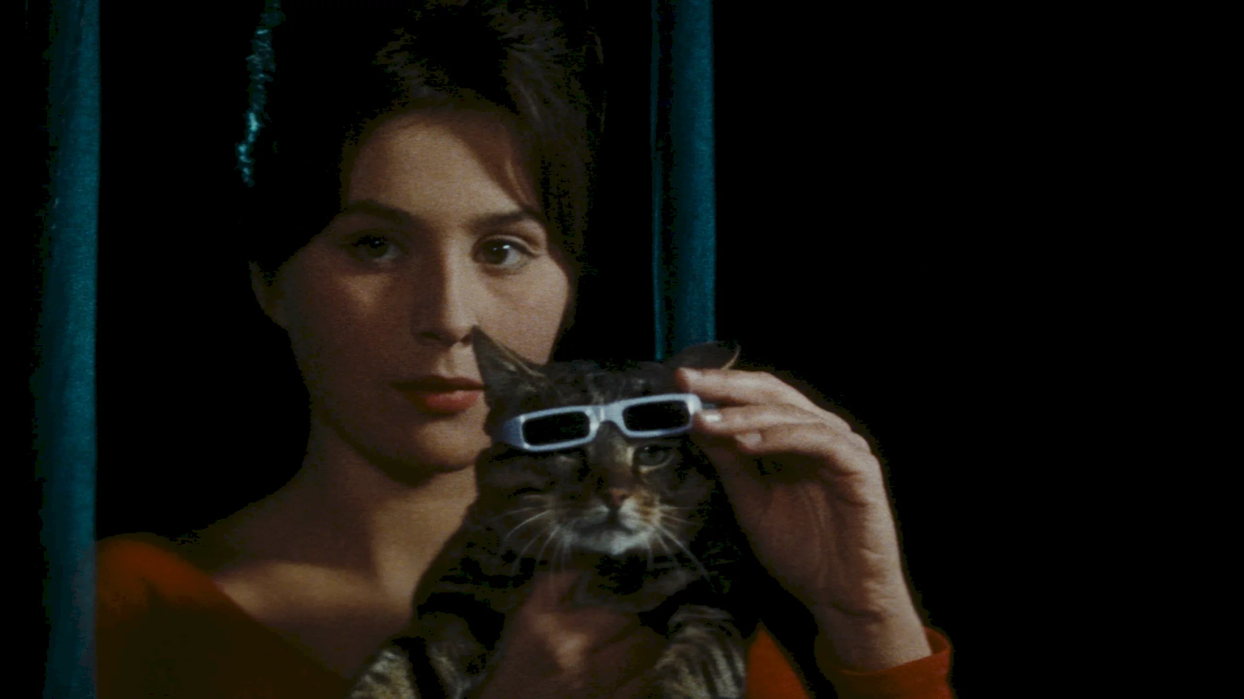 Photo 3 du film : Un jour un chat