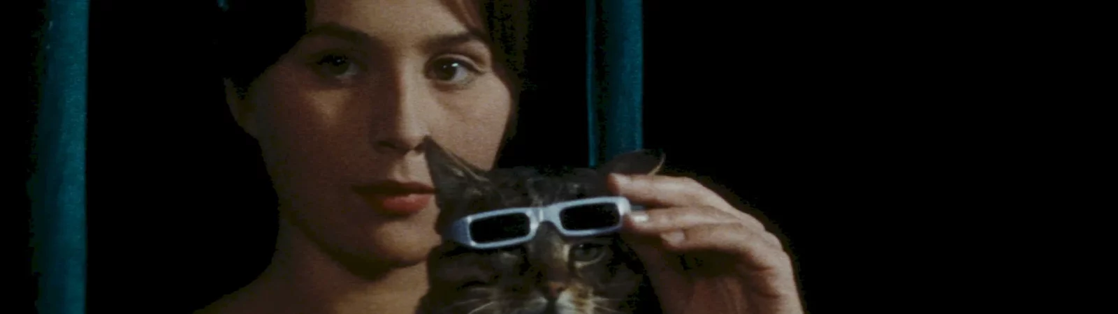 Photo du film : Un jour un chat