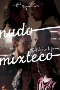 Affiche du film : Nudo mixteco : trois destins de femmes