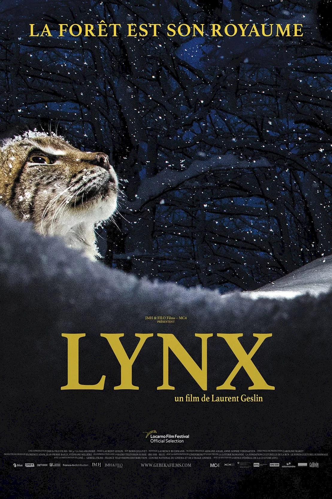 Photo 1 du film : Lynx