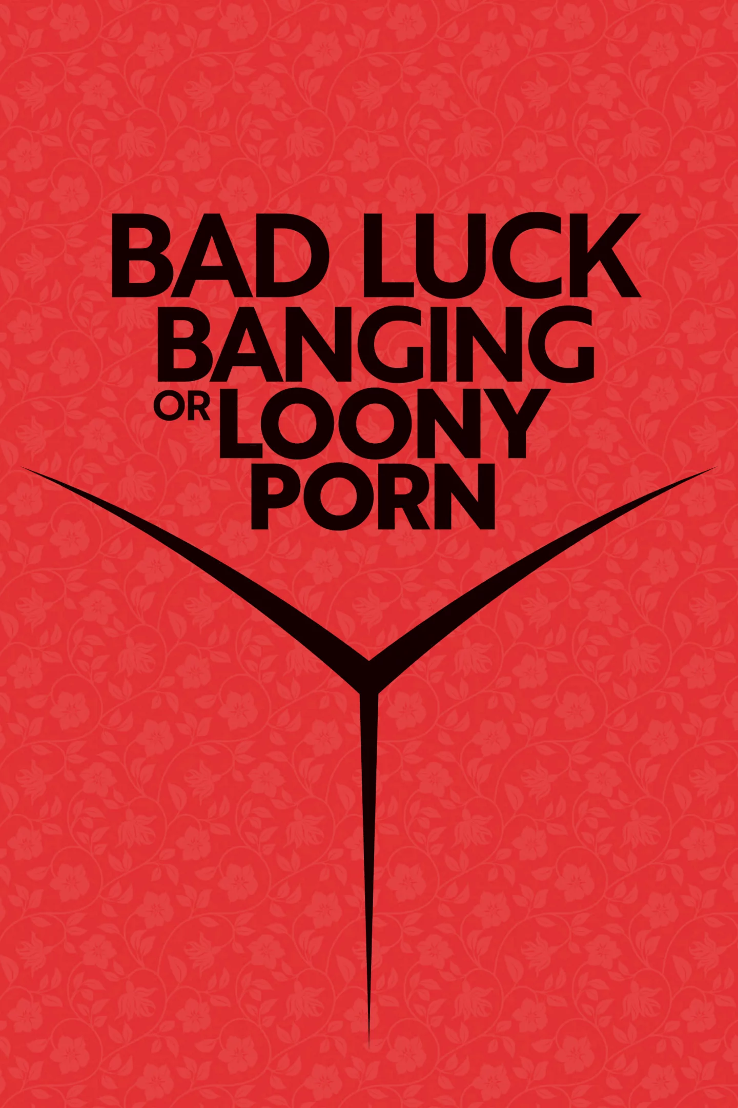 Photo 2 du film : Bad Luck Banging or Loony Porn
