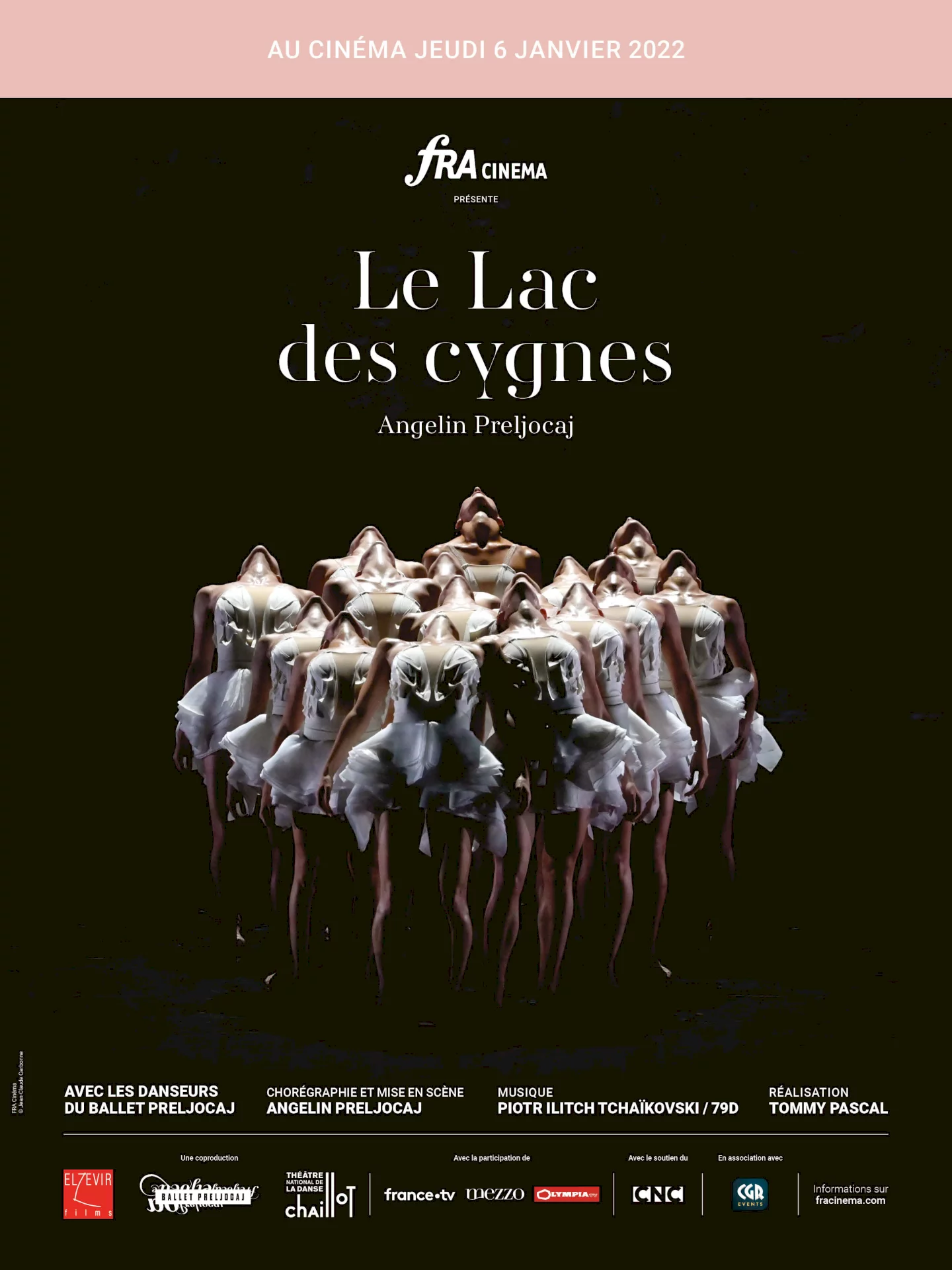 Photo 1 du film : Le Lac des cygnes (Chaillot-FRA Cinéma)