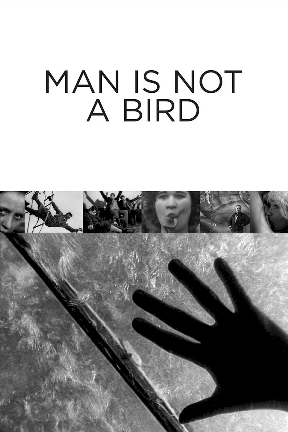 Photo 1 du film : L'Homme n'est pas un oiseau