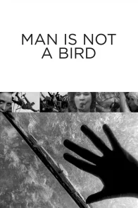 Affiche du film : L'Homme n'est pas un oiseau