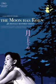 Affiche du film : La lune s'est levée