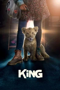 Affiche du film : King