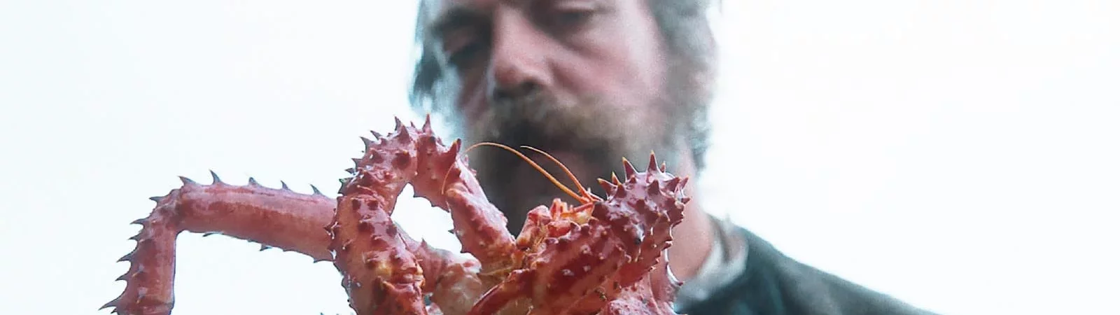 Photo du film : La Légende du roi crabe