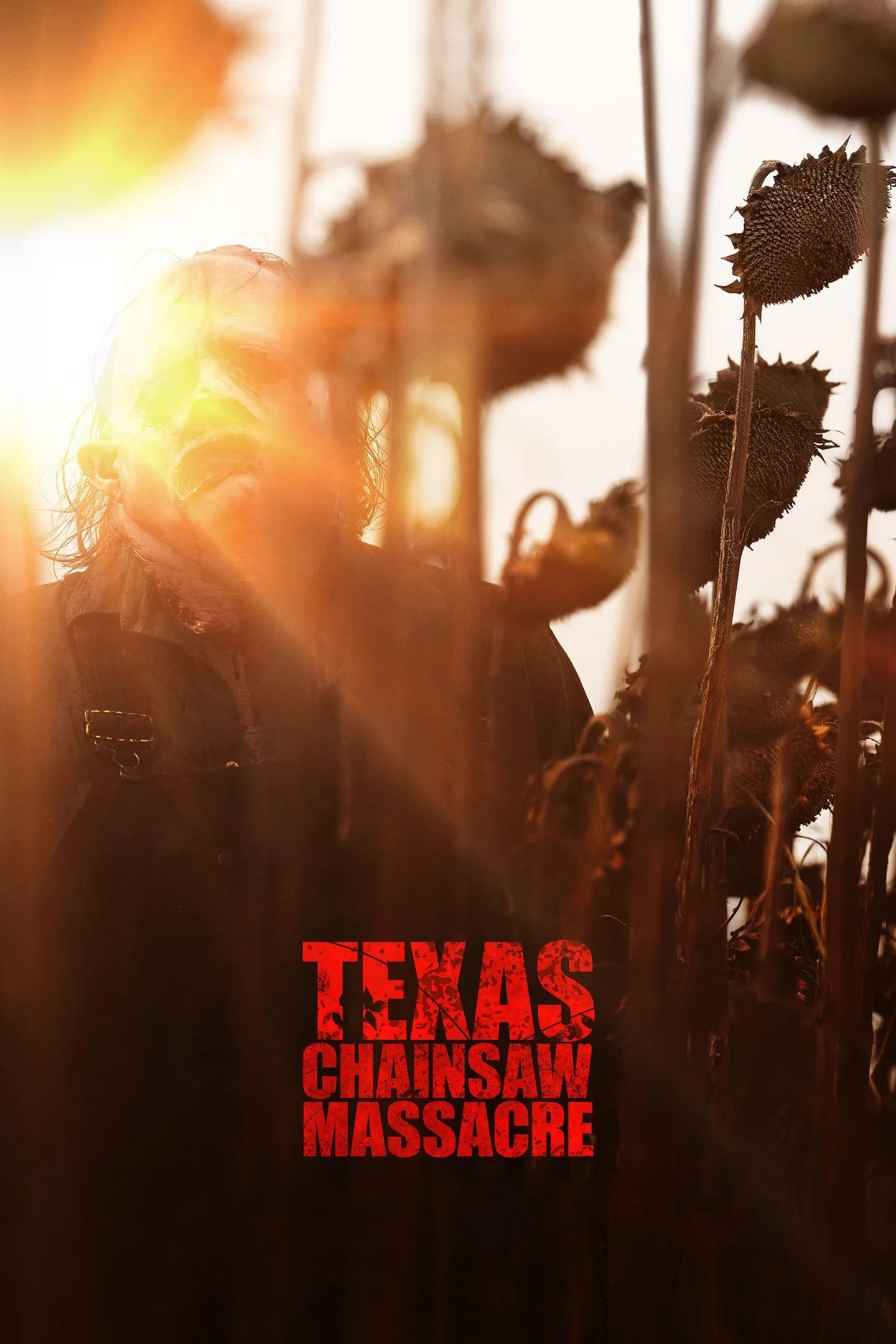 Photo du film : Texas Chainsaw Massacre