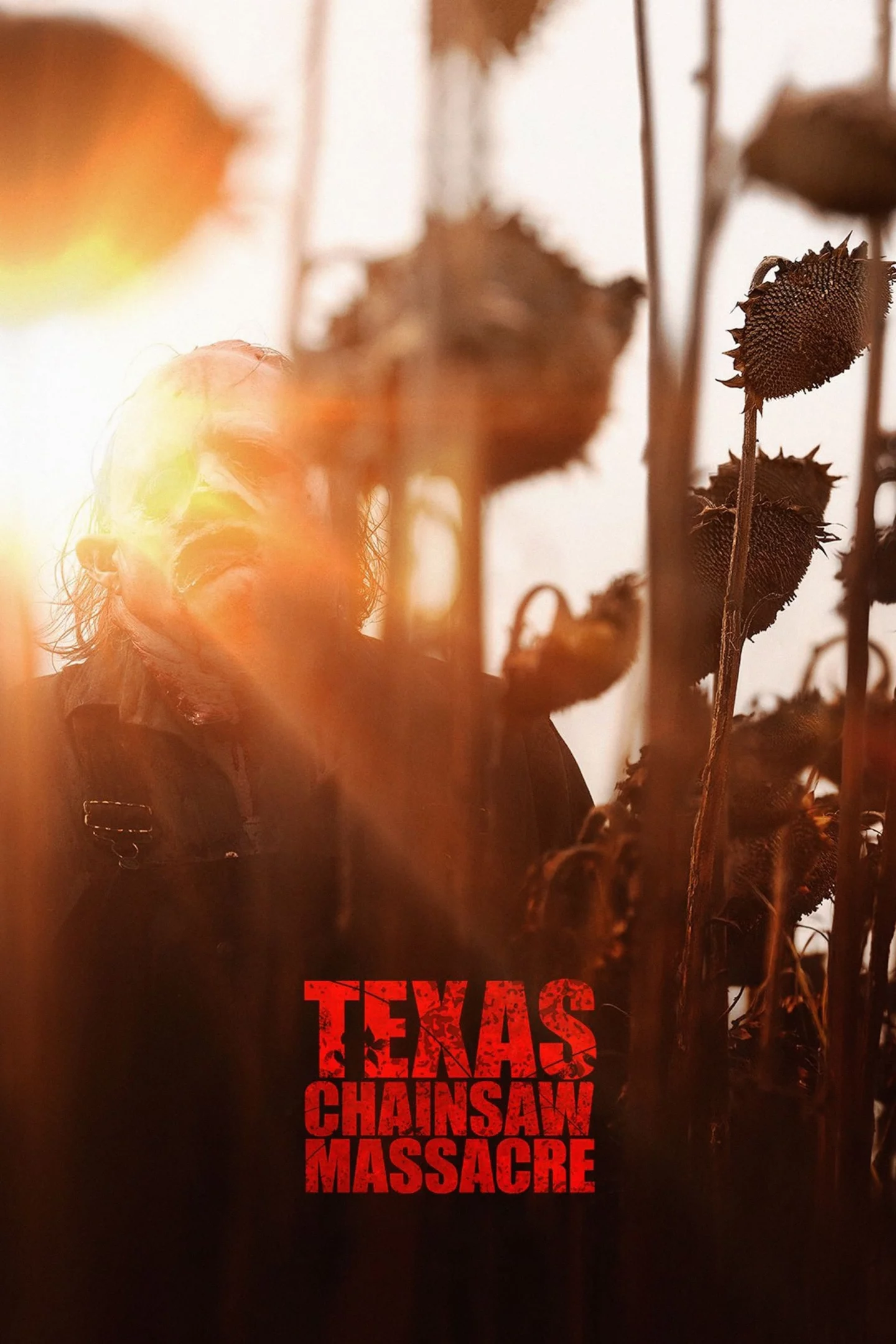 Photo du film : Texas Chainsaw Massacre
