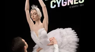 Affiche du film : Le Lac des cygnes (Ballet du Bolchoï)