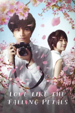 Affiche du film = Love Like the Falling Petals