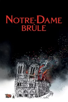 Affiche du film = Notre-Dame brûle