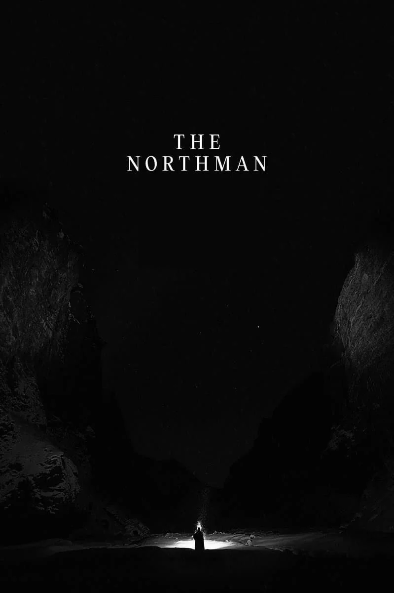 Photo 8 du film : The Northman