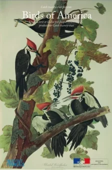 Affiche du film : Birds of America