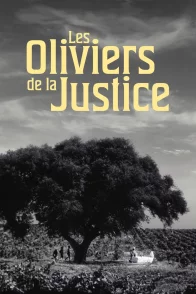 Affiche du film : Les oliviers de la justice