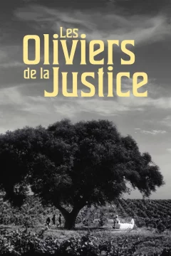 Affiche du film = Les oliviers de la justice