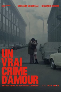 Affiche du film Un vrai crime d'amour