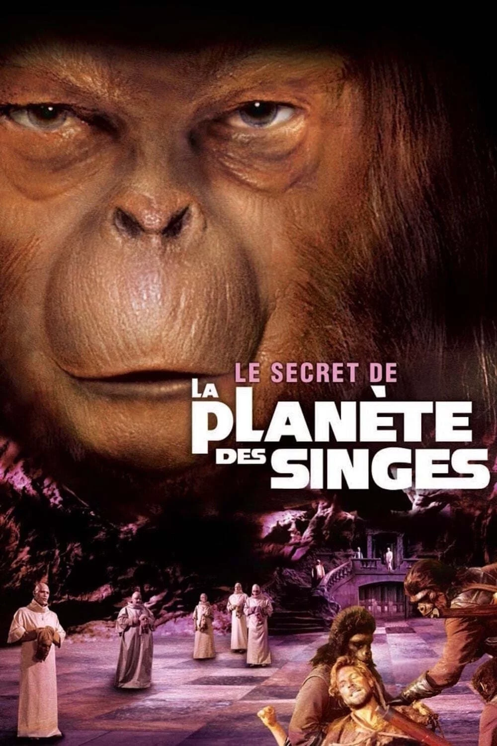 Photo 2 du film : Le Secret de la planète des singes
