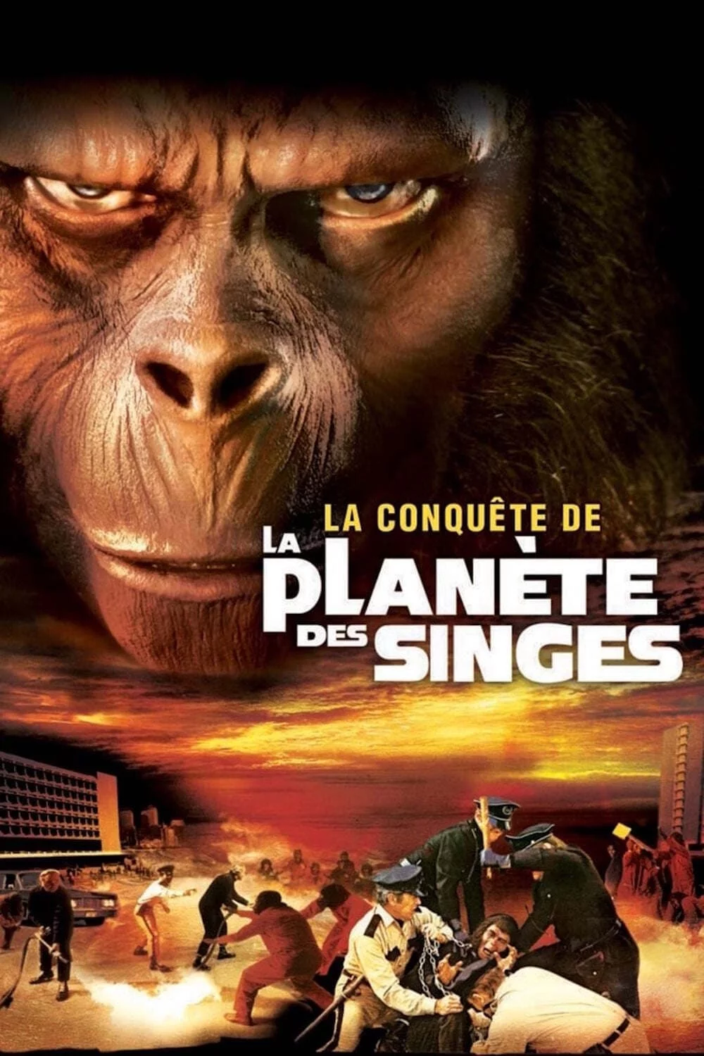 Photo 2 du film : La Conquête de la planète des singes