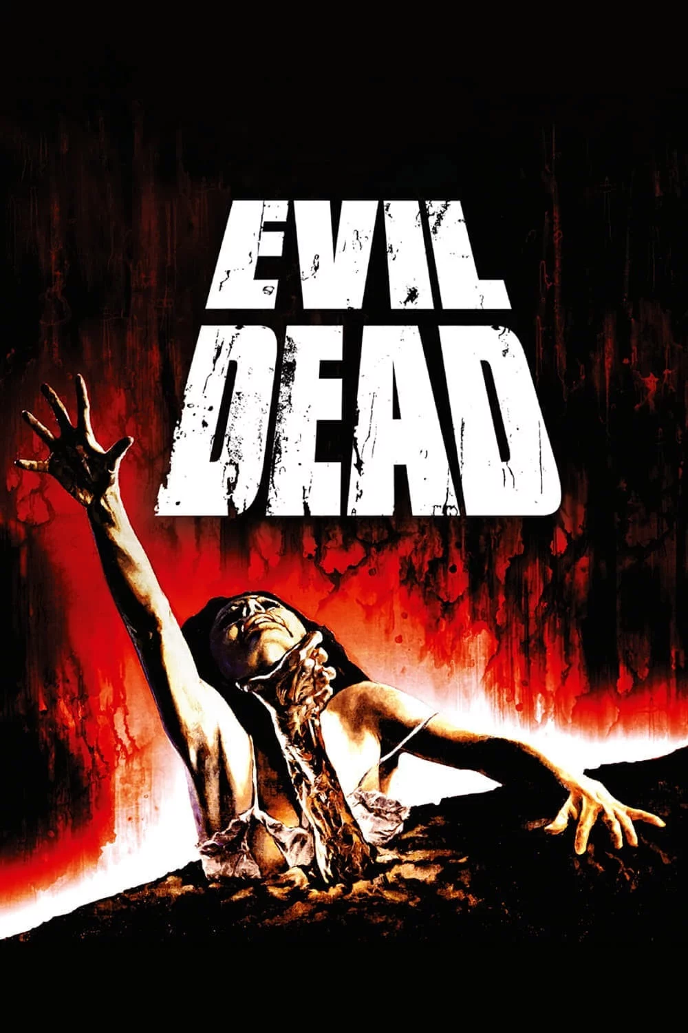 Photo 4 du film : Evil Dead