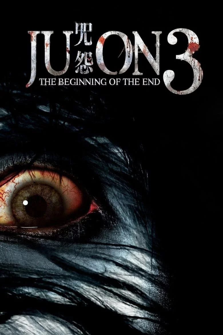 Photo 3 du film : Ju-on: The Beginning of the End