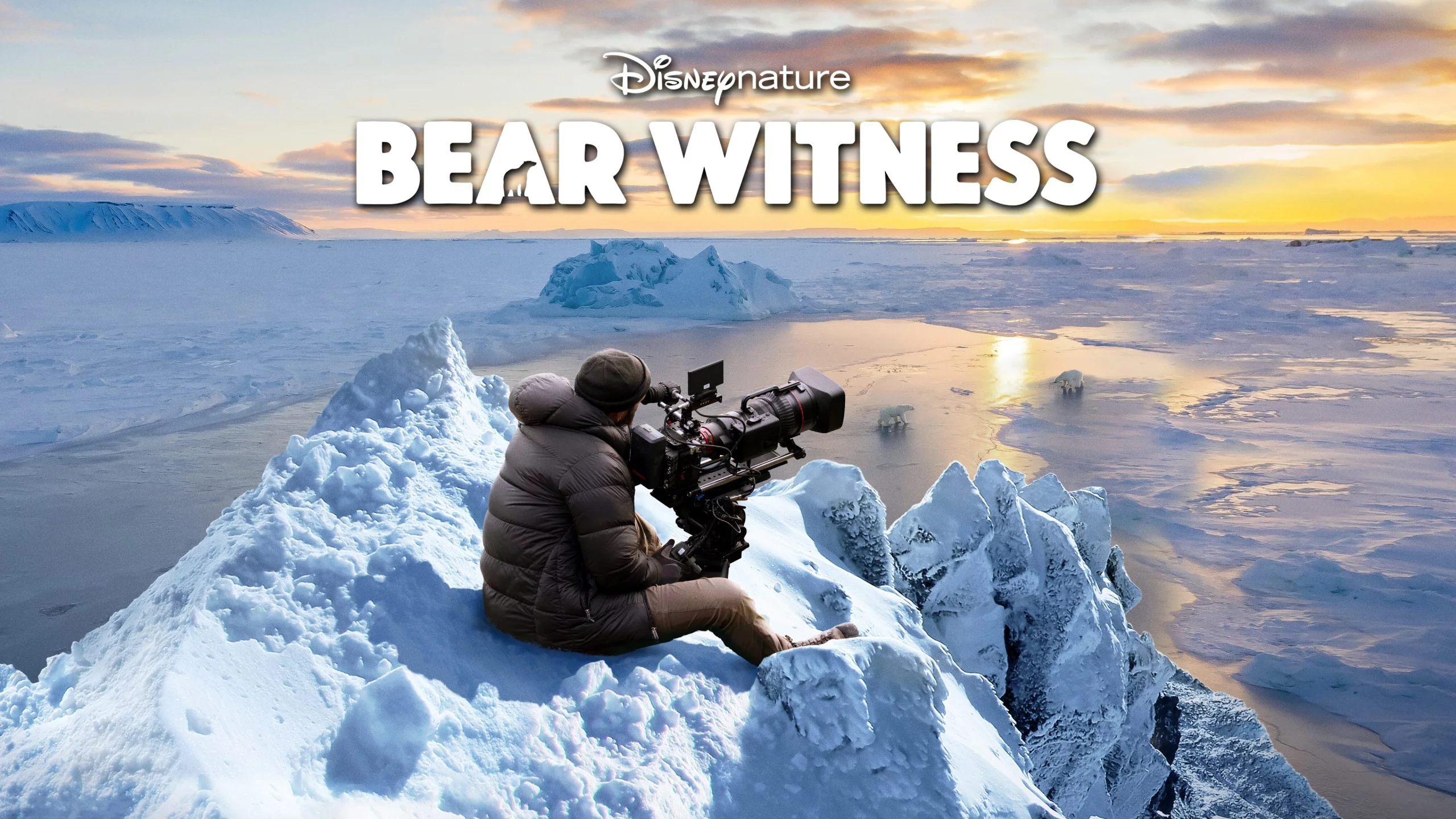 Photo 2 du film : Bear Witness