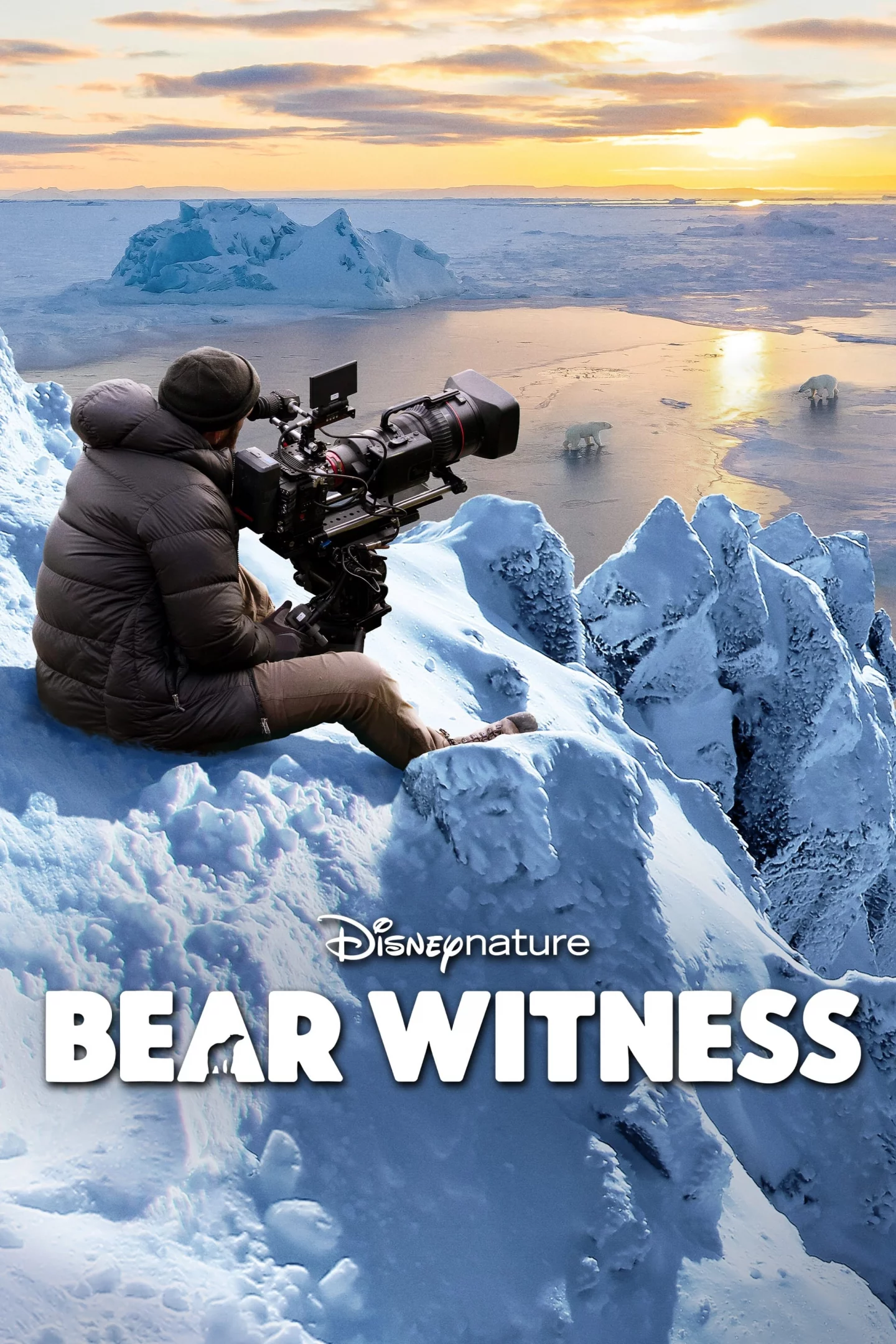 Photo 3 du film : Bear Witness