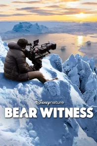 Affiche du film : Bear Witness