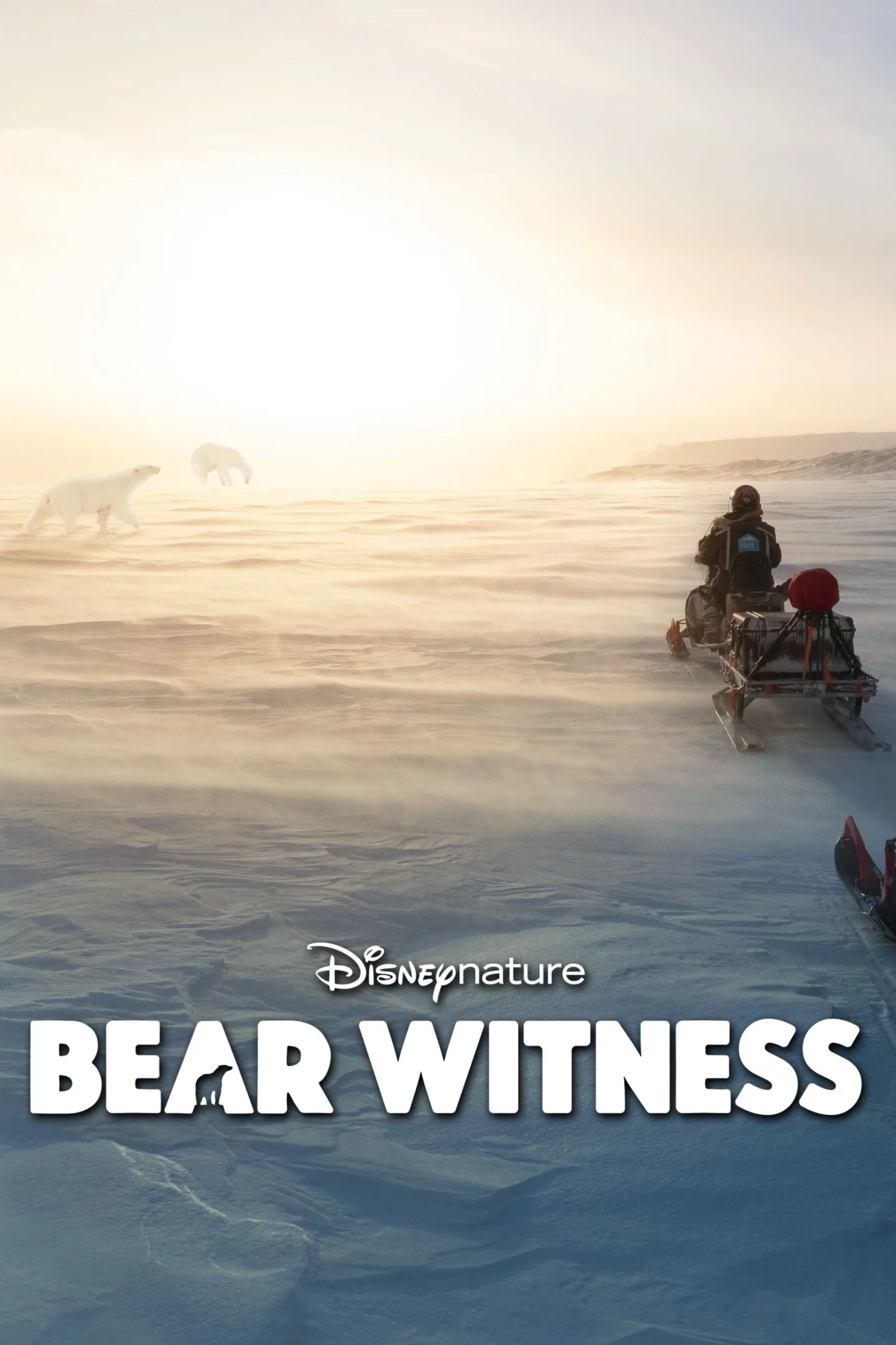 Photo 4 du film : Bear Witness