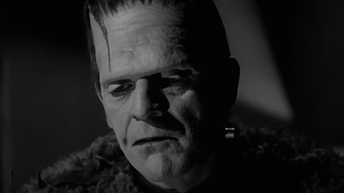 Photo 10 du film : Le Fils de Frankenstein