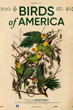 Affiche du film = Birds of America