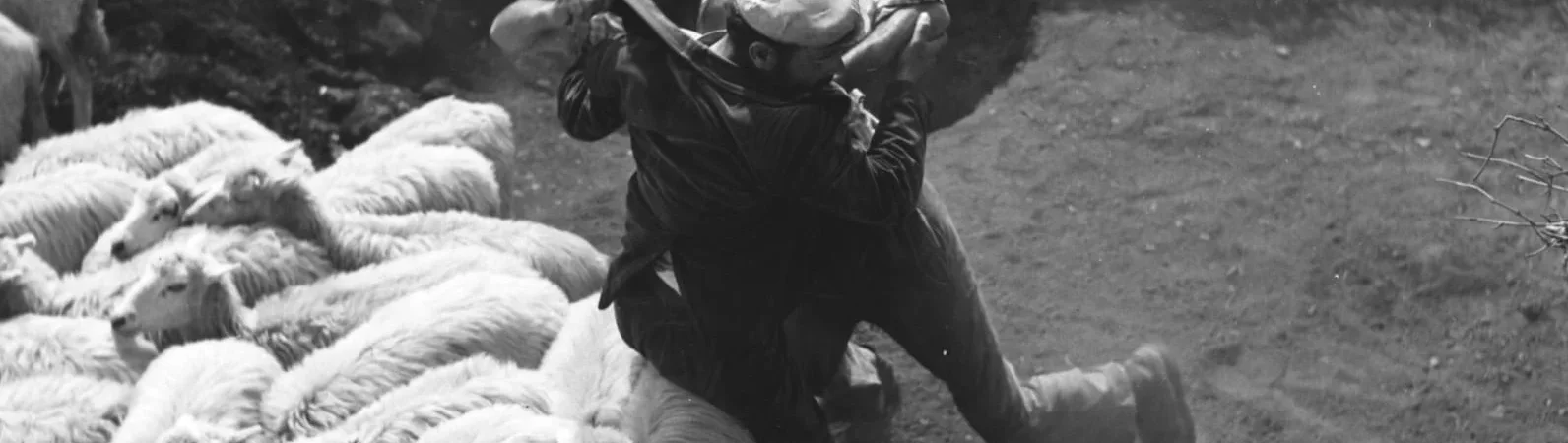 Photo du film : Bandits a orgosolo