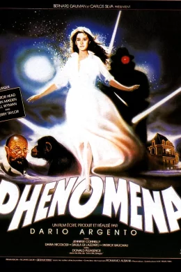 Affiche du film Phenomena