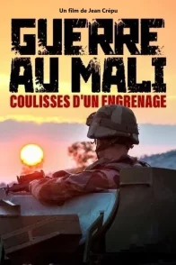 Affiche du film : Guerre au Mali,  coulisses d’un engrenage