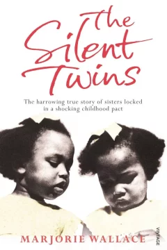 Affiche du film = The Silent Twins