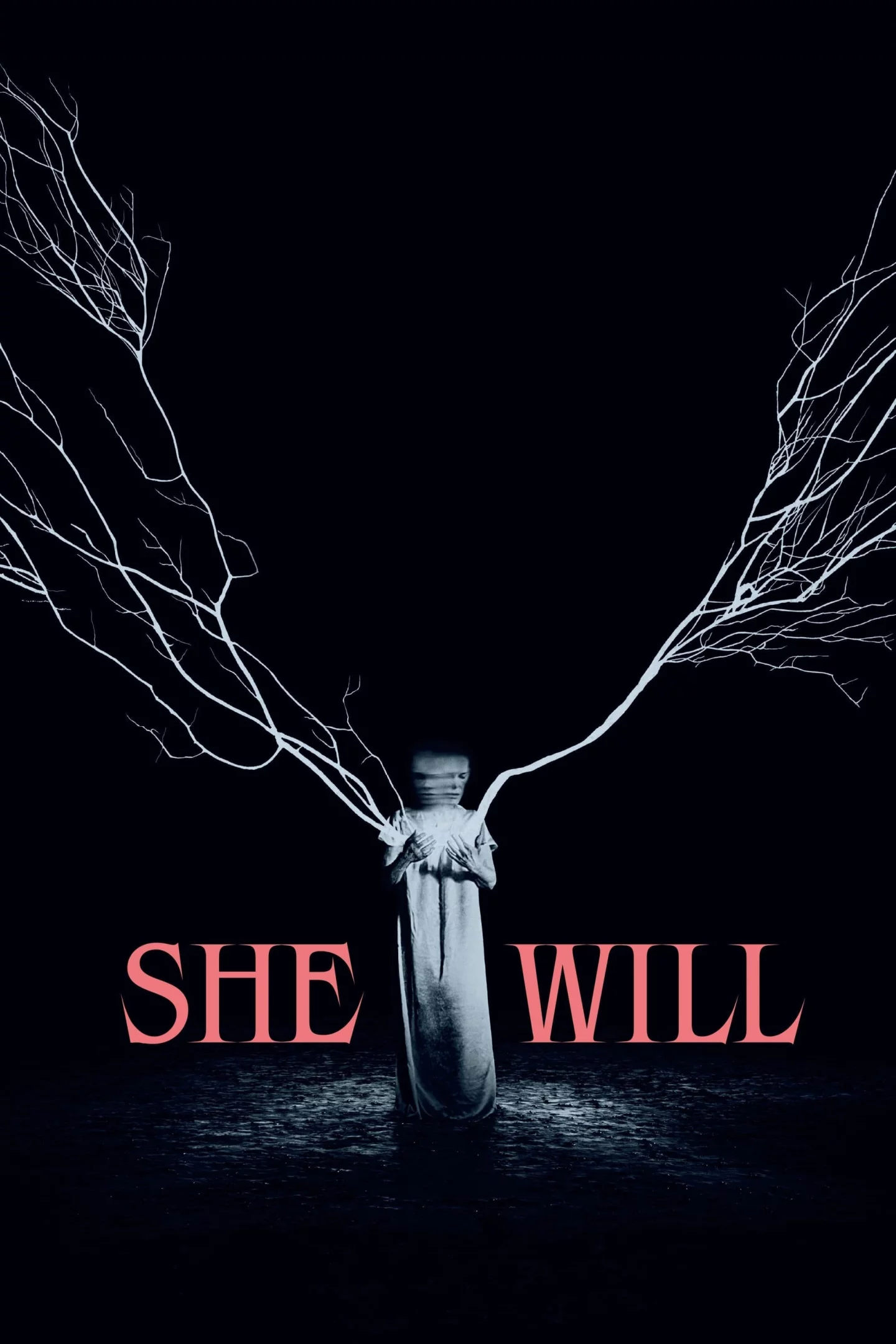 Photo 2 du film : She Will