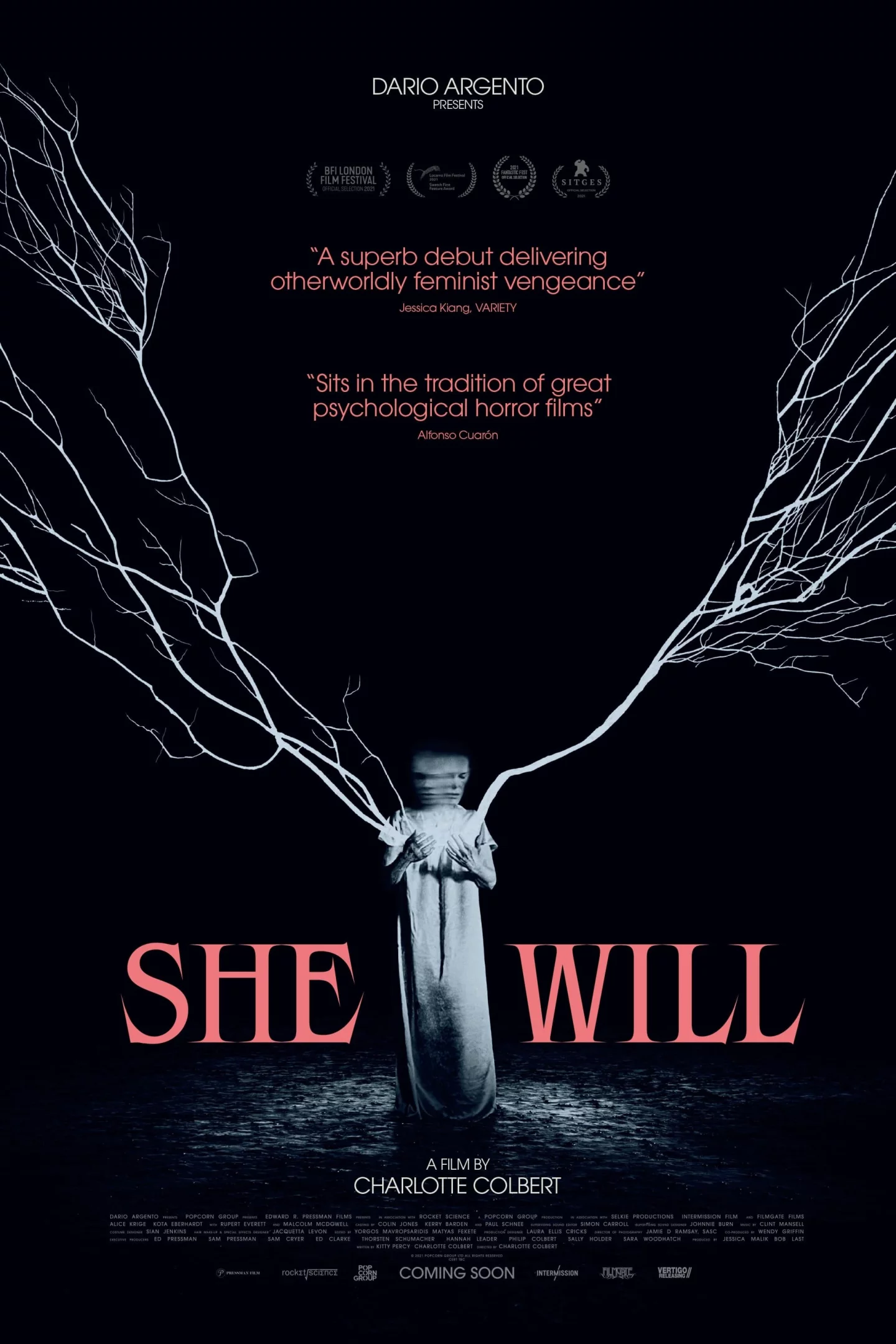Photo 3 du film : She Will
