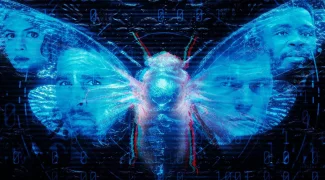 Affiche du film : Dark Web: Cicada 3301