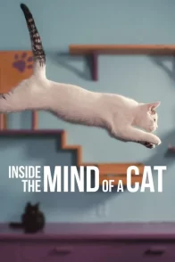 Affiche du film : Notre langue aux chats
