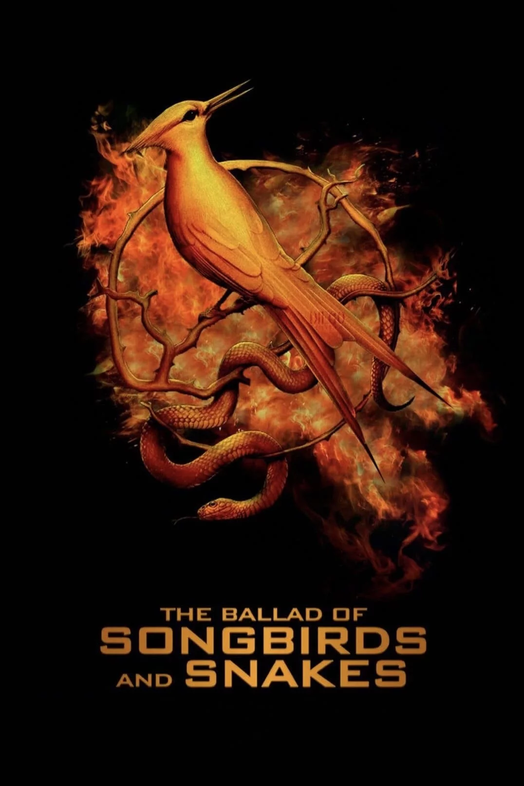 Photo 4 du film : Hunger Games: la Ballade du serpent et de l'oiseau chanteur
