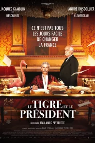 Affiche du film : Le Tigre et le Président